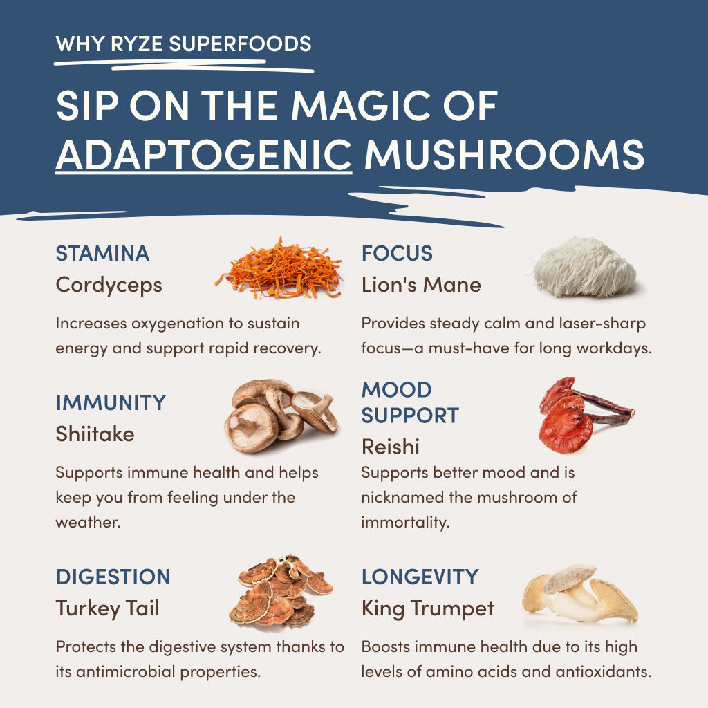 RYZE Nighttime Mushroom Cocoa Starter Bag - Travel Ready