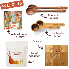 Cocoa Free Gift Bundle - Clean Bundle