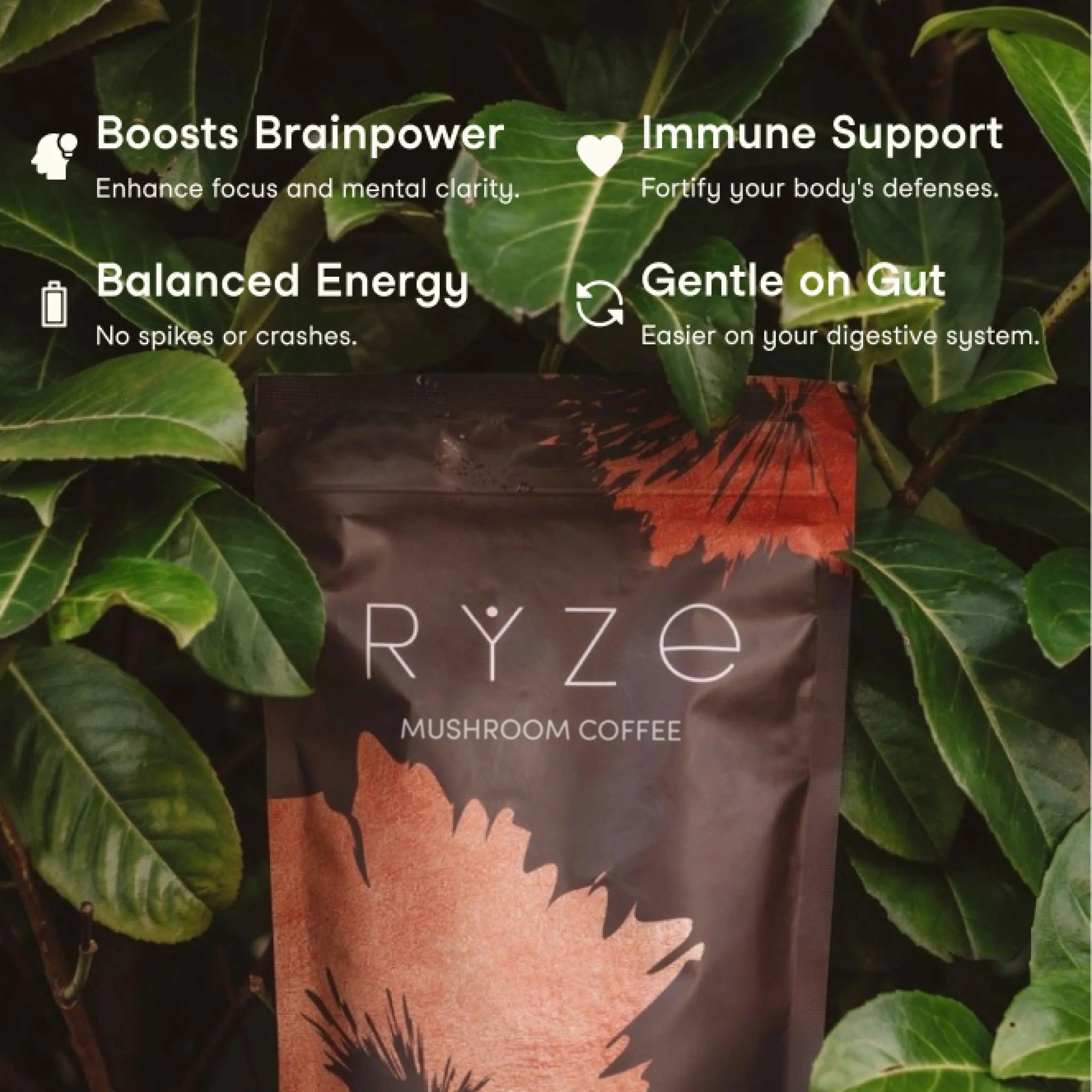 Coffee (1 pack - 30 Servings) - Active Ready