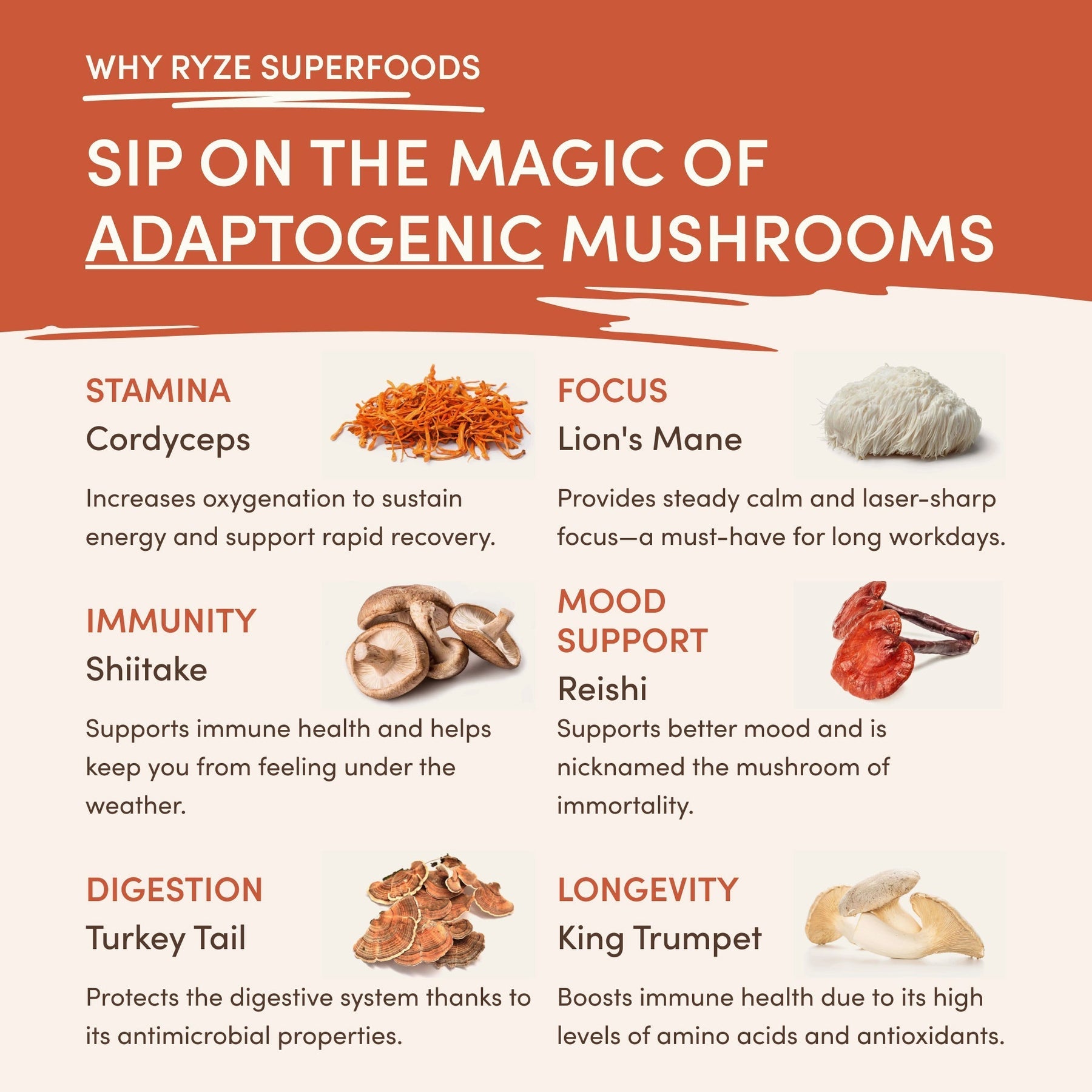 Superfood Creamer Add-on (SPECIAL PRICING) - Easy Choice