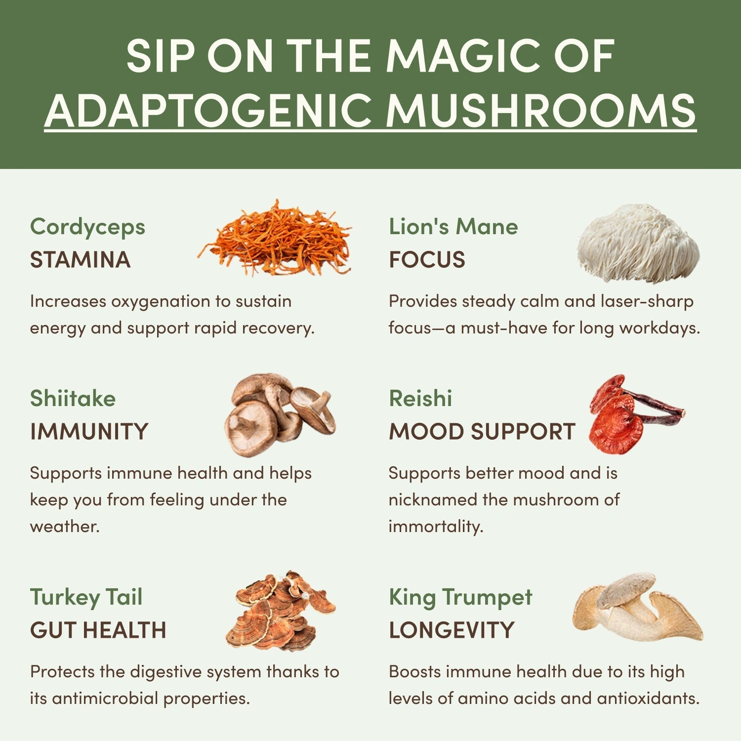 RYZE Ritual Set (Matcha + Coffee) - Daily Set
