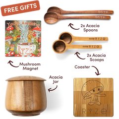 Cocoa Free Gift Bundle - Clean Bundle