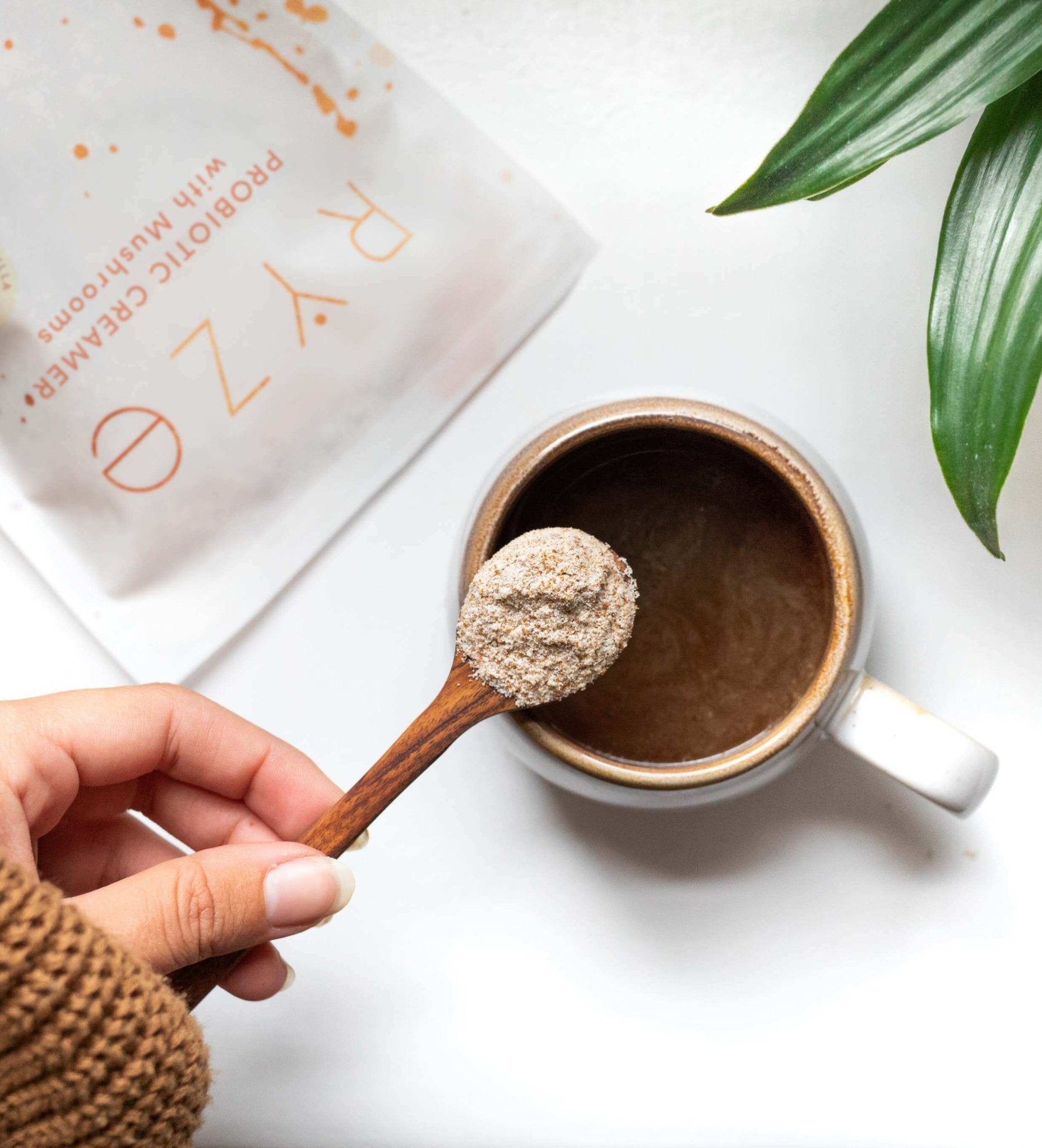 Creamer: 30 Servings - Easy Set