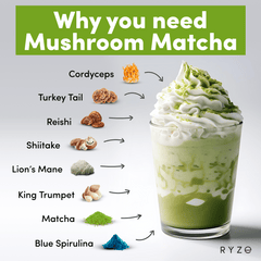 RYZE Matcha - with 6 Organic Adaptogenic Mushrooms Grown In USA and Ceremonial-Grade Japanese Matcha - Travel Edit