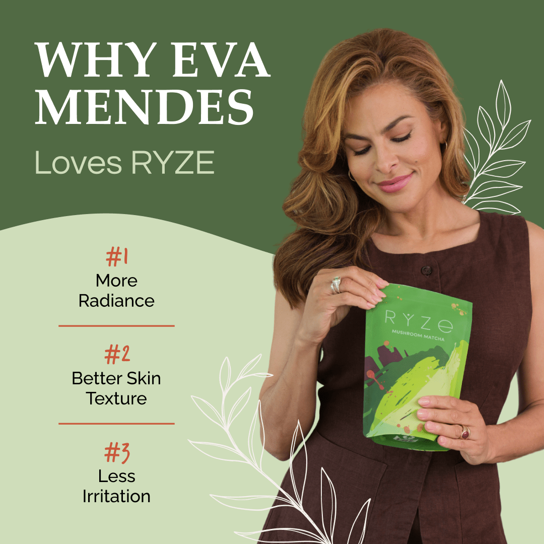 RYZE Matcha - with 6 Organic Adaptogenic Mushrooms Grown In USA and Ceremonial-Grade Japanese Matcha - Travel Edit