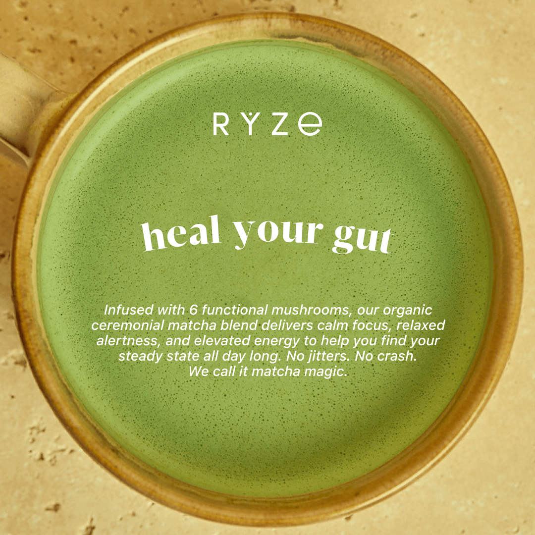 RYZE Matcha - with 6 Organic Adaptogenic Mushrooms Grown In USA and Ceremonial-Grade Japanese Matcha - Travel Edit