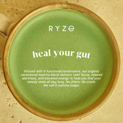 RYZE Matcha - with 6 Organic Adaptogenic Mushrooms Grown In USA and Ceremonial-Grade Japanese Matcha - Travel Edit