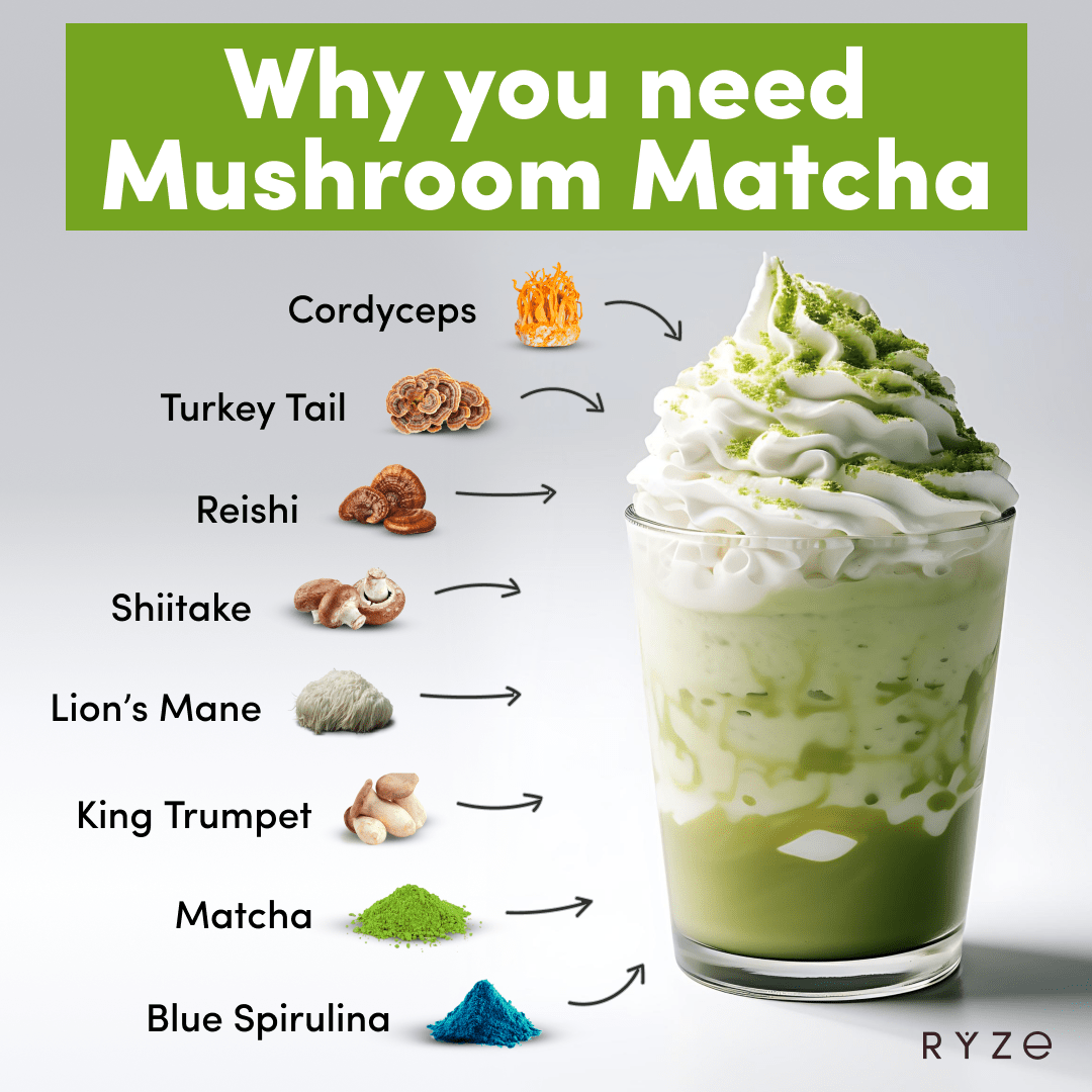 RYZE Organic Matcha Starter Kit (60 servings) - Weekend Pair