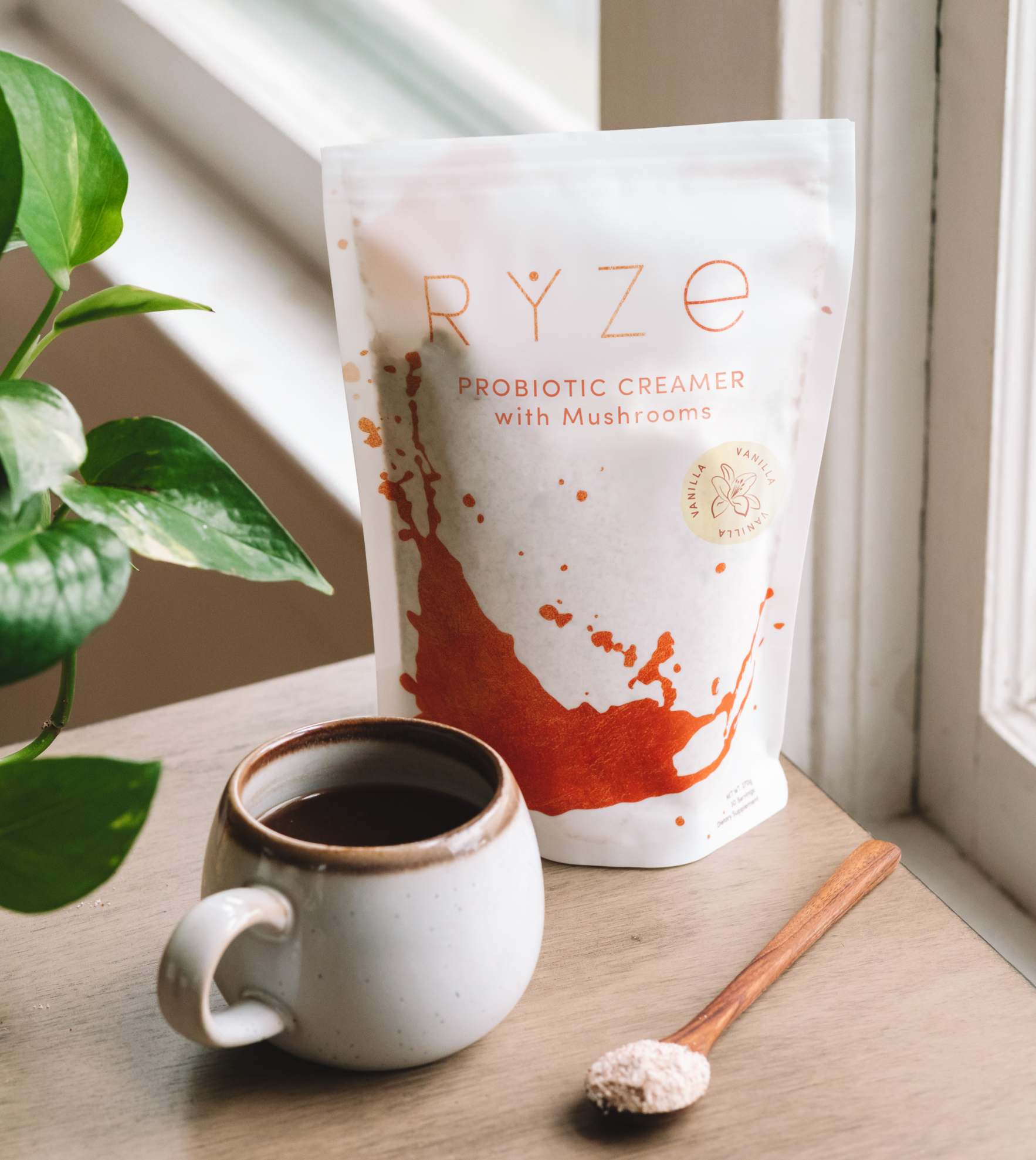 Try our Creamer for 50% OFF! - Clean Style